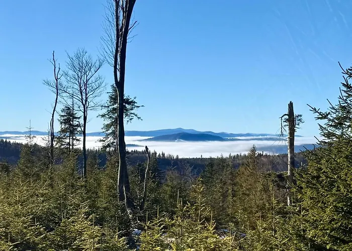 Kolor&dizajn Apartament, Bielsko-biala, Center, Dworzec Pkp